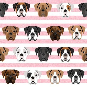 boxer dogs fabric - dog head fabric - pink stripe