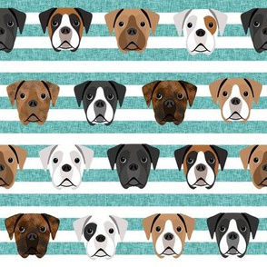 boxer dogs fabric - dog head fabric - blue stripes