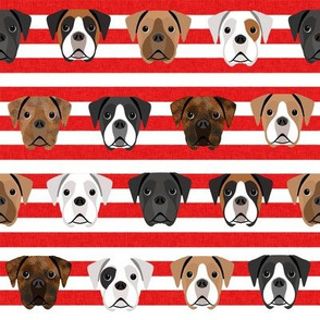 boxer dogs fabric - dog head fabric - red stripe