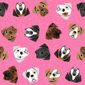 boxer dogs fabric - tossed dogs - bright pink
