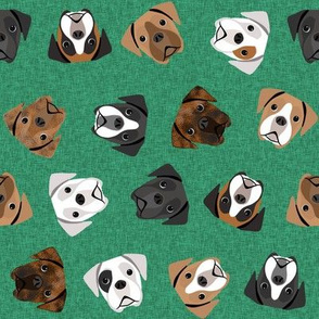 boxer dogs fabric - tossed dogs - dark green