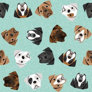 boxer dogs fabric - tossed dogs - mint