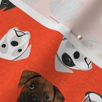 boxer dogs fabric - tossed dogs - orange