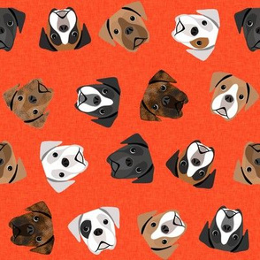 boxer dogs fabric - tossed dogs - orange