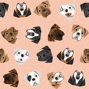 boxer dogs fabric - tossed dogs - peach