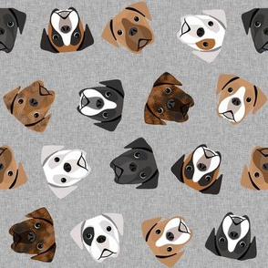 boxer dogs fabric - tossed dogs - grey