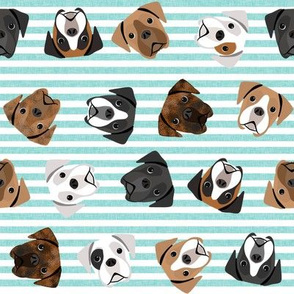 boxer dogs fabric - tossed dogs - mint stripe