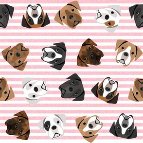 boxer dogs fabric - tossed dogs - pink stripe