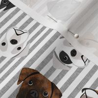 boxer dogs fabric - tossed dogs - grey stripe