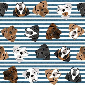 boxer dogs fabric - tossed dogs - blue stripe