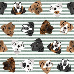 boxer dogs fabric - tossed dogs - green stripe