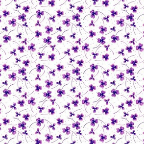 clover tiny white purple