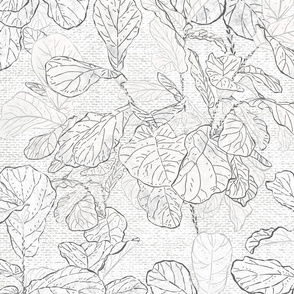 Fiddle-leaf Fig Stucco (grey mono) 24”