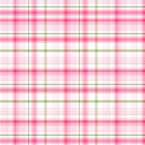 Pink Plaid