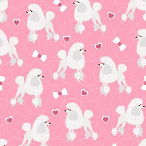 Poodles Bows and Hearts White Coats Pink