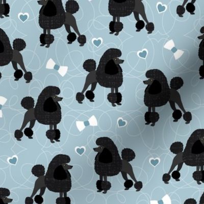 Poodles Bows and Hearts Black Coats Blue
