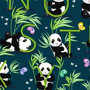 Panda and the whole alphabet on a dark green background