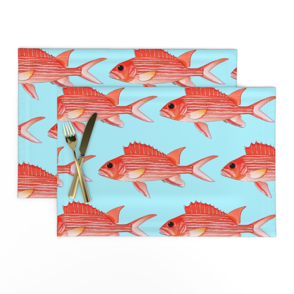 Hawaiian Squirrelfish on light blue