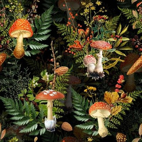 12" red vintage hand drawn botnical fungus toadstools mushrooms bouquets on black double Psychadelic  Mushroom Wallpaper