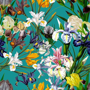 18" Pierre-Joseph Redouté Flowers,Iris Bunches on teal