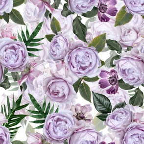 Experience Luxury and Romance: Lush Fragrant Purple Antique Roses Enchanting Summer Fresh Flower Garden