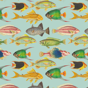 12"  Vintage Colorful Ocean Fishes Sepia Mint 