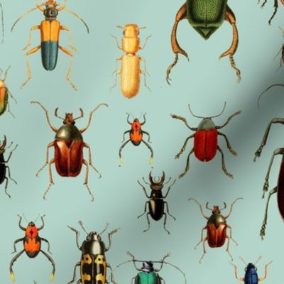 14" Vintage Beetles and Bugs on Sepia Mint
