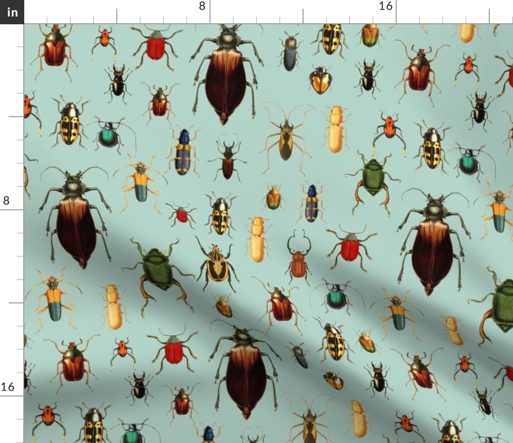 14" Vintage Beetles and Bugs on Sepia Mint