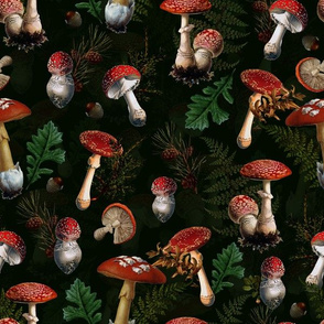 12" fungi kingdom - colorful mushrooms on black Psychadelic  Mushroom Wallpaper