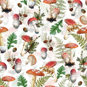 12" fungi kingdom - colorful mushrooms on white Psychadelic  Mushroom Wallpaper
