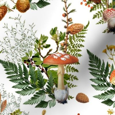 12" red vintage hand drawn botnical fungus toadstools mushrooms bouquets Psychadelic  Mushroom Wallpaper on white 