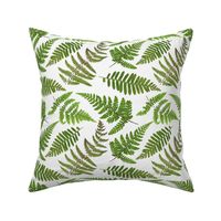 8" Pressed and dried Fern leaves - fern fabric, fern pattern on white 