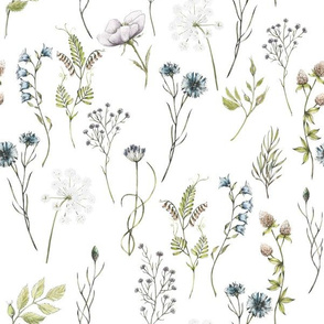 12" hand drawn watercolor wildflowers midsummer meadow