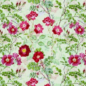 Nostalgic Burgundy Red Pierre-Joseph Redouté Roses, Antique Flower Bouquets,  vintage home decor, English Rose Fabric on light green double layer