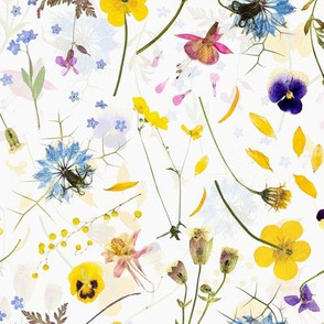 8" Midsummer Dried And Pressed Colorful Wildflowers Meadow Set Box, Dried Flowers Fabric, Pressed Flowers Fabric Double Layer