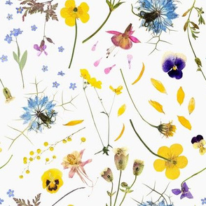 8" Midsummer Dried And Pressed Colorful Wildflowers Meadow Set Box, Dried Flowers Fabric, Pressed Flowers Fabric