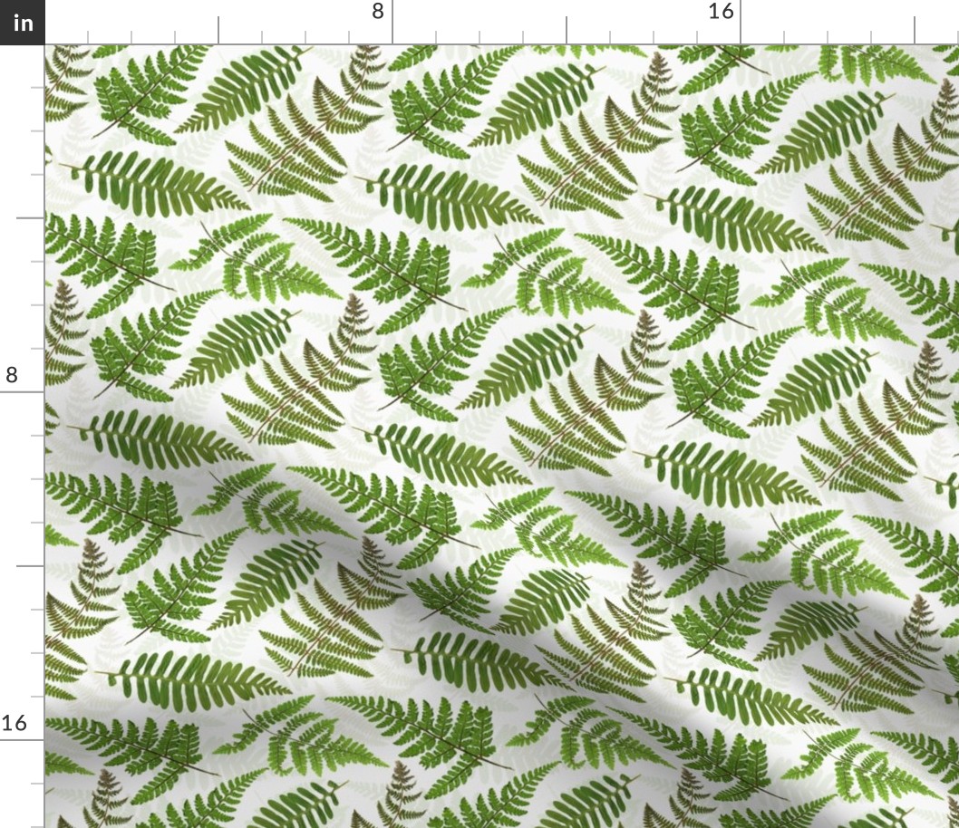 6" Pressed and dried Fern leaves - fern fabric, fern pattern on white  double layer