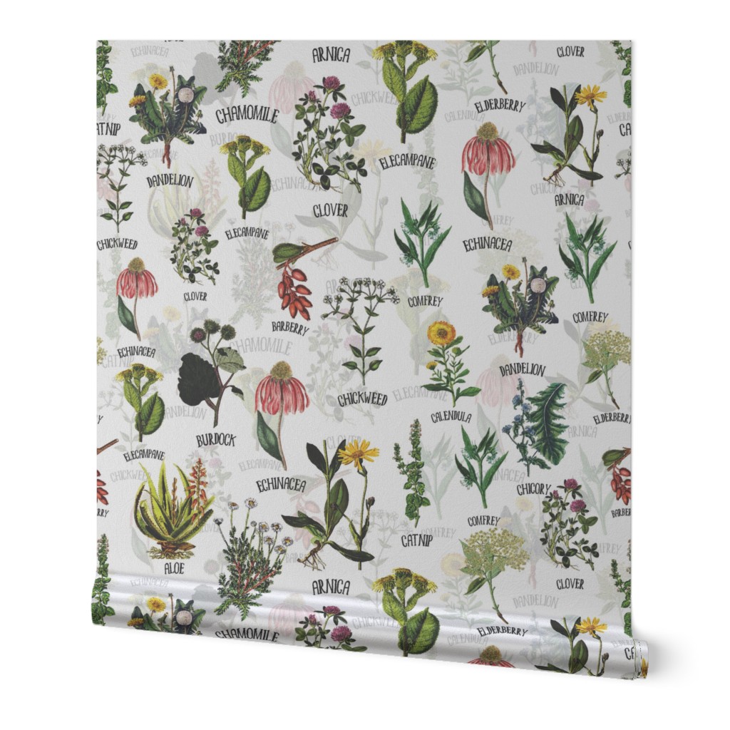 10" Plants and Herbs, wildflowers pharmacists plants, Alphabet flowers double layer on white
