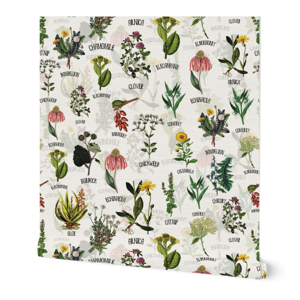 10" Plants and Herbs, wildflowers pharmacists plants, Alphabet flowers double layer on white