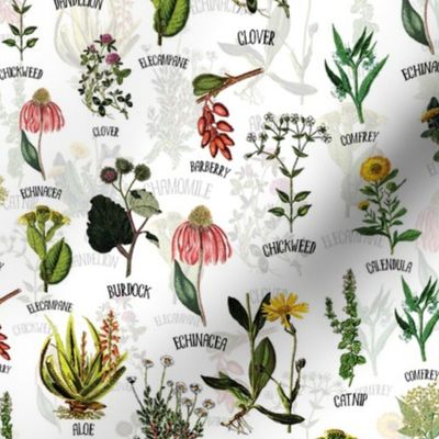 10" Plants and Herbs, wildflowers pharmacists plants, Alphabet flowers double layer on white