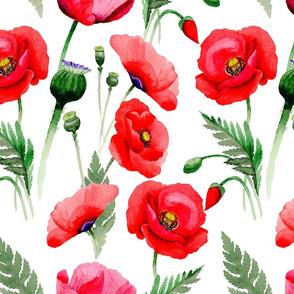 14" Pink And Red Poppies - Hand drawn watercolor poppies on white - single layer