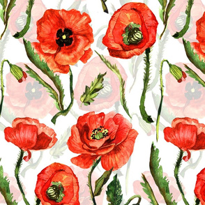 14" Poppies - Hand drawn watercolor poppies on white - double layer