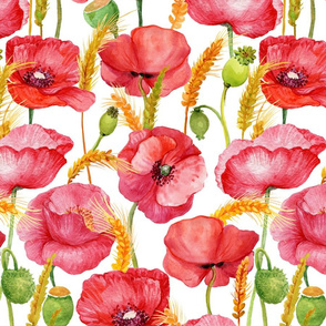 14" Pink And Red Poppies cornfield  - Hand drawn watercolor poppies on white - single layer