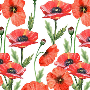 14" Pink And Red Poppies  - Hand drawn watercolor poppies on white - single layer