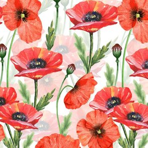 14" Pink And Red Poppies  - Hand drawn watercolor poppies on white - double layer