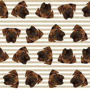 brindle boxer dogs fabric - dog fabric, brindle boxer - tan stripe