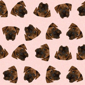 brindle boxer dogs fabric - dog fabric, brindle boxer - pink