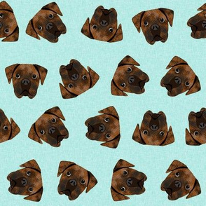 brindle boxer dogs fabric - dog fabric, brindle boxer - mint