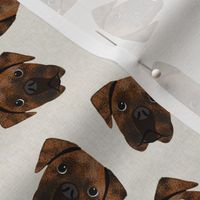 brindle boxer dogs fabric - dog fabric, brindle boxer - tan