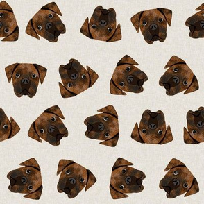 brindle boxer dogs fabric - dog fabric, brindle boxer - tan